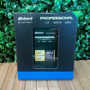 INLAND Professional SSD 256GB 2.5" SATA III 6GB/s Internal Dive Open Box